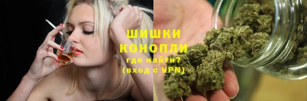 дживик Аркадак