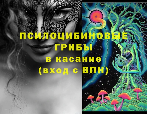 СК Арсеньев