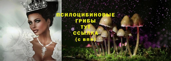 мдпв Баксан