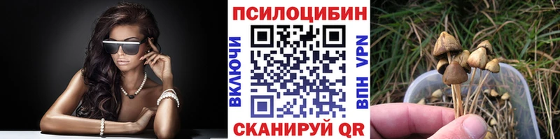 Купить где  Бор  Псилоцибиновые грибы Psilocybe 